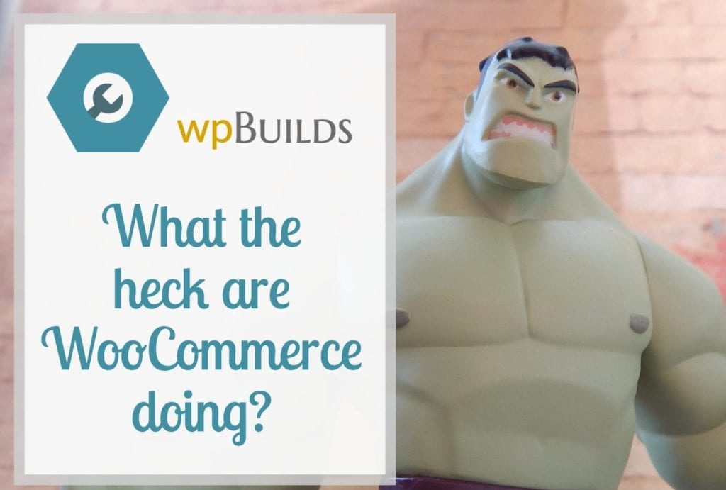 What the heck are WooCommerce going?