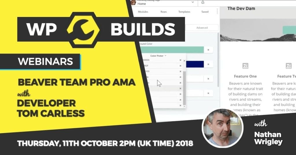 Learn how to use Beaver Team Pro to speed up your website builds ...